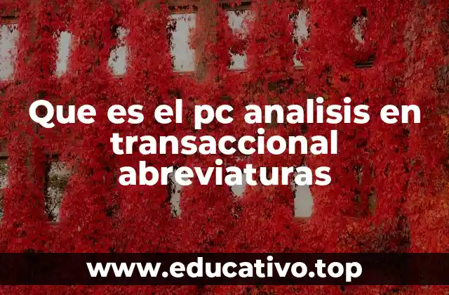 Que es el pc analisis en transaccional abreviaturas