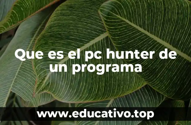 Que es el pc hunter de un programa