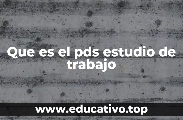 Que es el pds estudio de trabajo