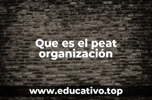 Que es el peat organización