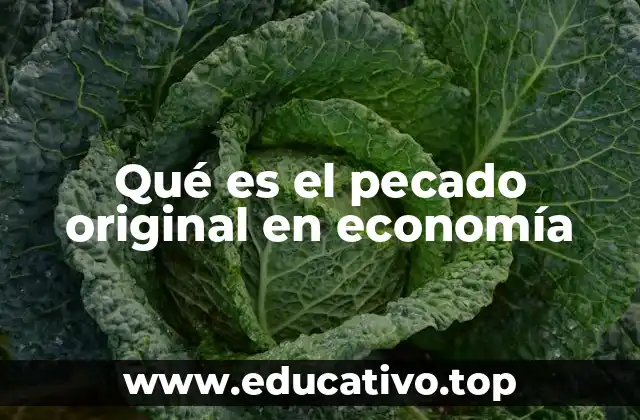 Qué es el pecado original en economía