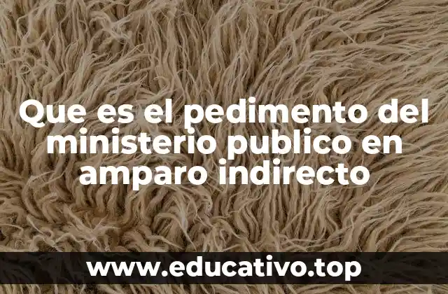 Que es el pedimento del ministerio publico en amparo indirecto