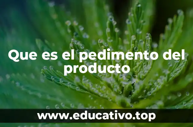 El papel del pedimento en el comercio internacional