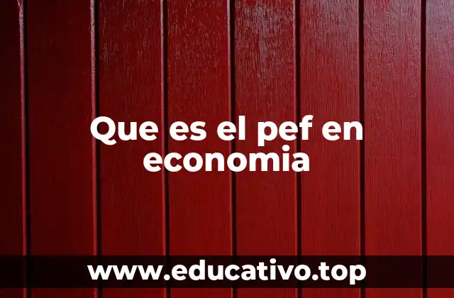 Que es el pef en economia