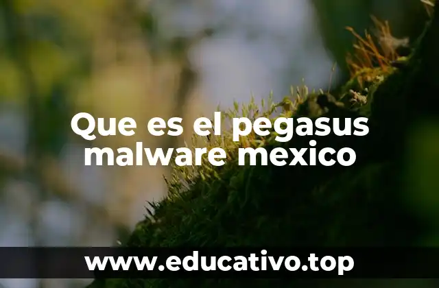 Que es el pegasus malware mexico