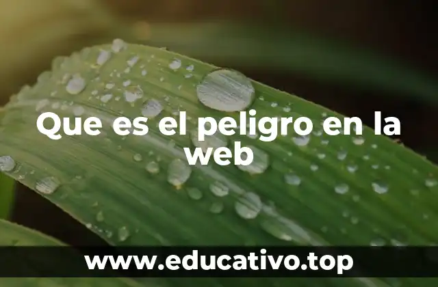 Que es el peligro en la web