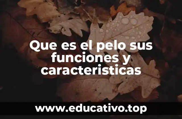 Que es el pelo sus funciones y caracteristicas