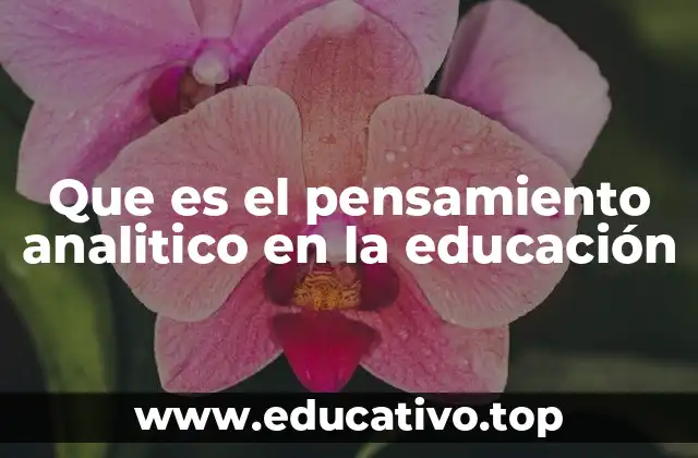 El papel del pensamiento crítico en la formación educativa