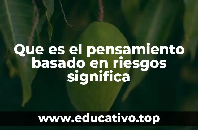 Que es el pensamiento basado en riesgos significa
