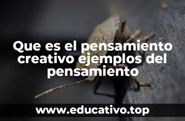 Que es el pensamiento creativo ejemplos del pensamiento
