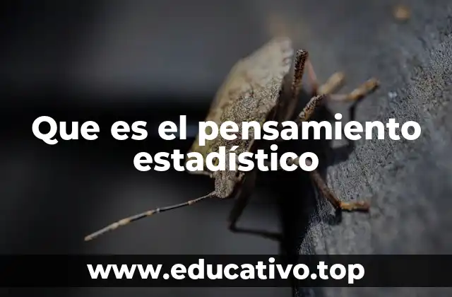 Que es el pensamiento estadístico