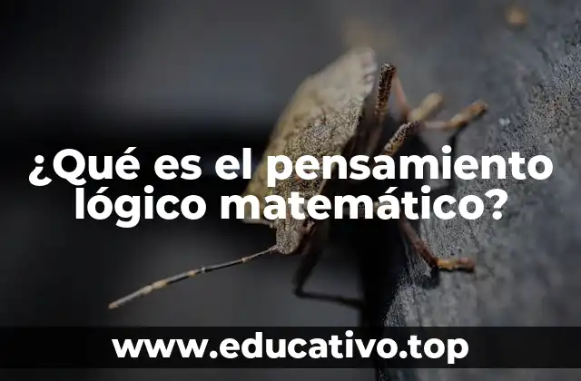 El razonamiento estructurado como base del pensamiento lógico matemático