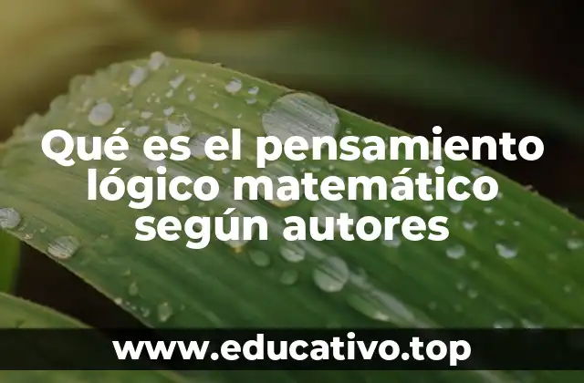 Qué es el pensamiento lógico matemático según autores