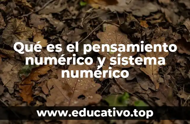 Qué es el pensamiento numérico y sistema numérico