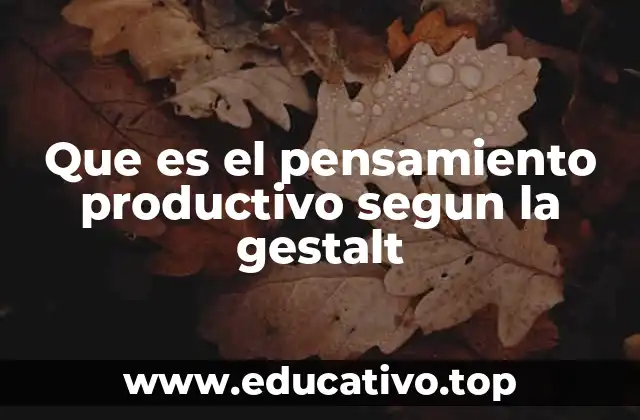 Que es el pensamiento productivo segun la gestalt