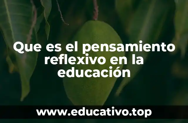 Que es el pensamiento reflexivo en la educación