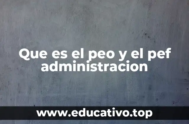 Que es el peo y el pef administracion