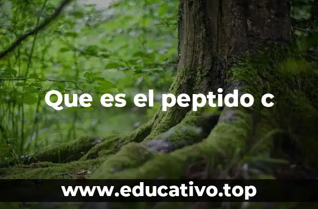 Que es el peptido c