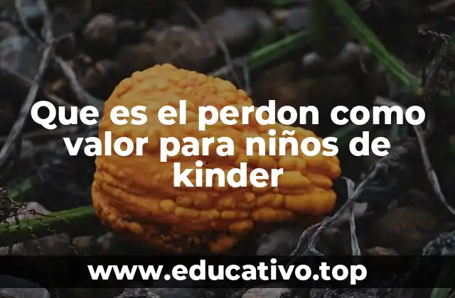 Que es el perdon como valor para niños de kinder