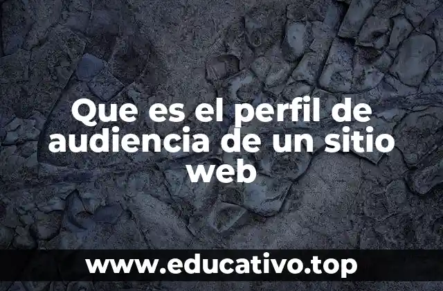 Que es el perfil de audiencia de un sitio web
