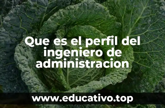 La fusión entre ingeniería y gestión empresarial