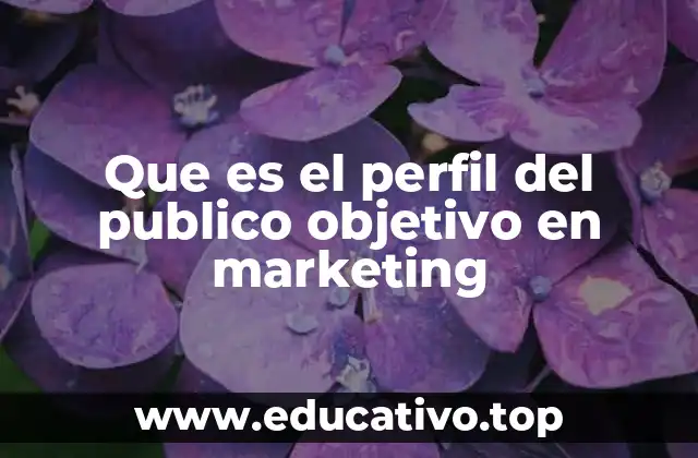 Que es el perfil del publico objetivo en marketing