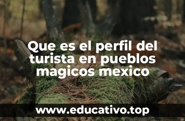Que es el perfil del turista en pueblos magicos mexico