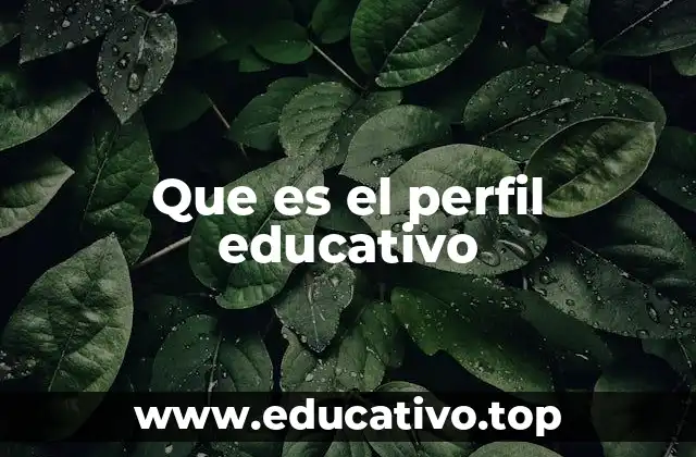 Que es el perfil educativo