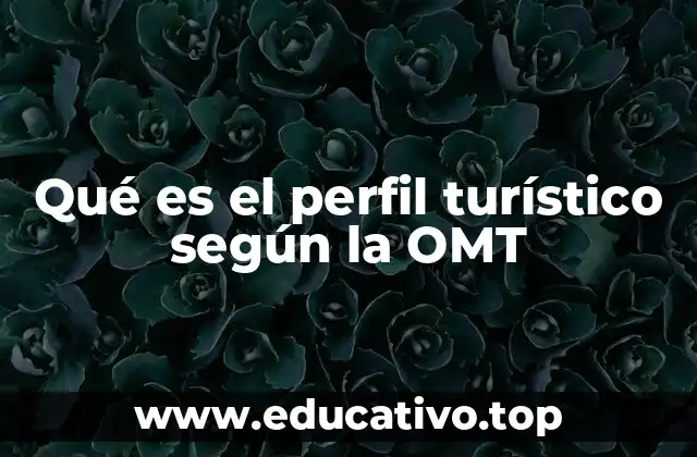 Qué es el perfil turístico según la OMT