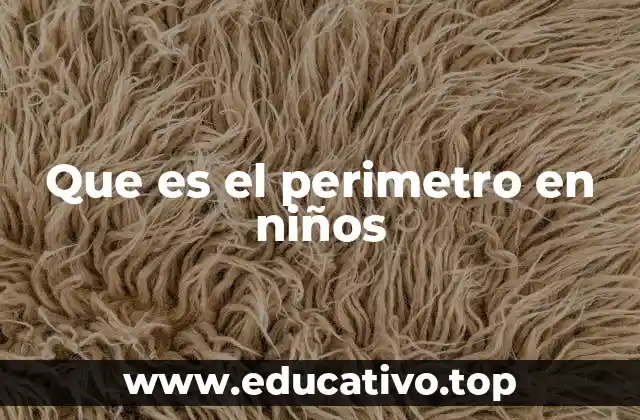 Que es el perimetro en niños