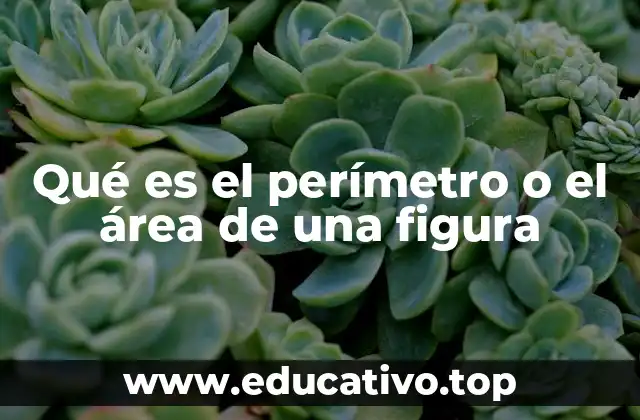 Qué es el perímetro o el área de una figura