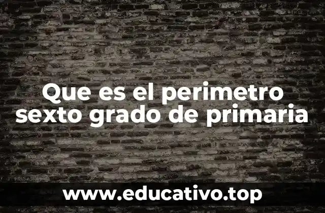 Que es el perimetro sexto grado de primaria