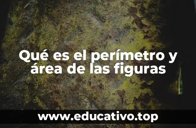 Qué es el perímetro y área de las figuras