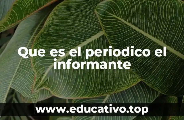 Que es el periodico el informante
