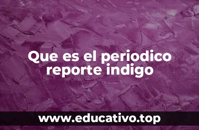 Que es el periodico reporte indigo