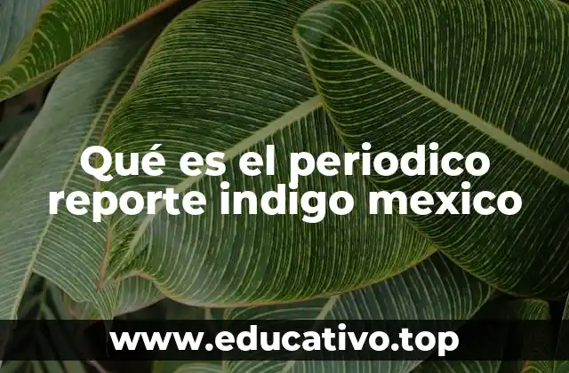 Qué es el periodico reporte indigo mexico