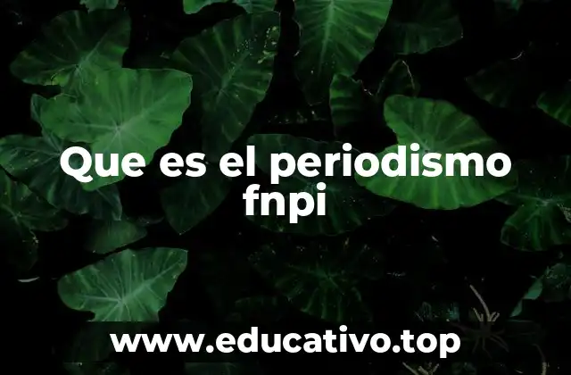 Que es el periodismo fnpi