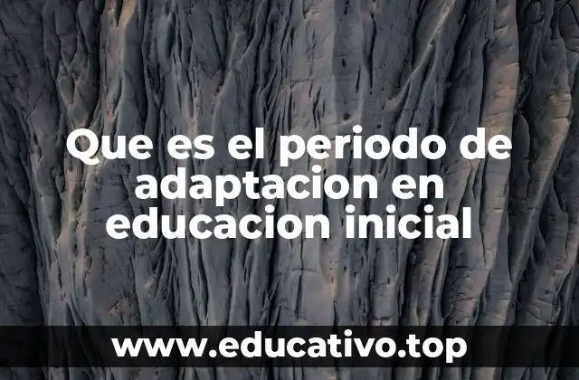 La importancia del entorno escolar en la transición