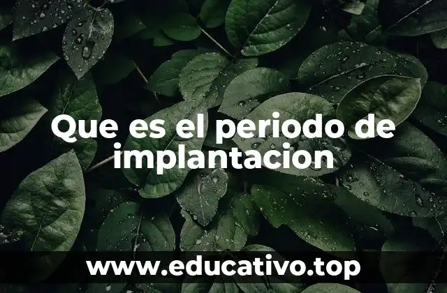 Que es el periodo de implantacion