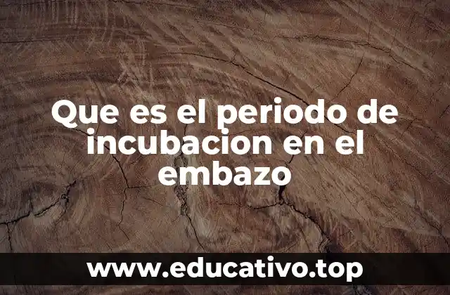 Que es el periodo de incubacion en el embazo