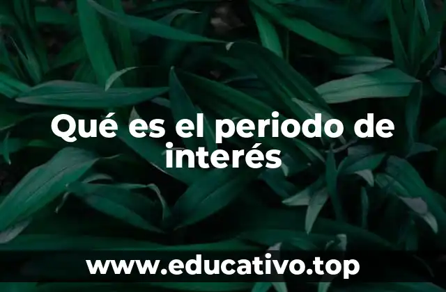 Qué es el periodo de interés