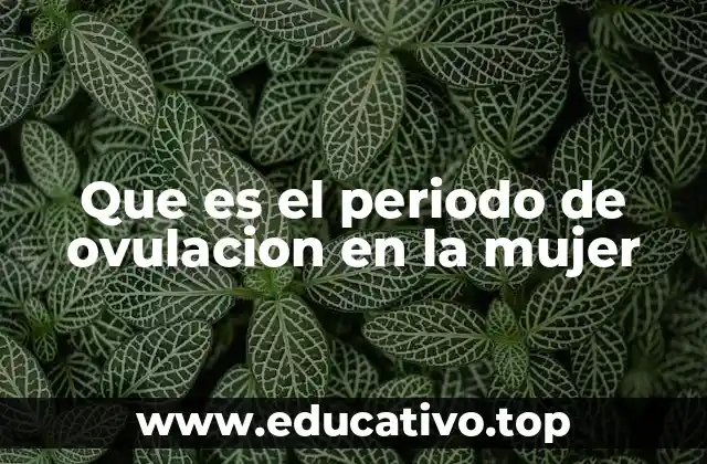 Que es el periodo de ovulacion en la mujer