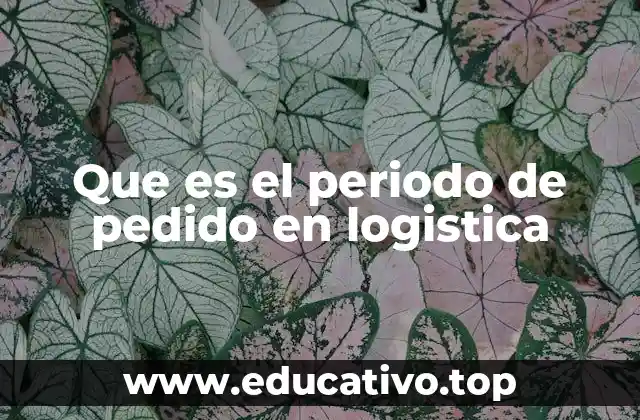 Que es el periodo de pedido en logistica