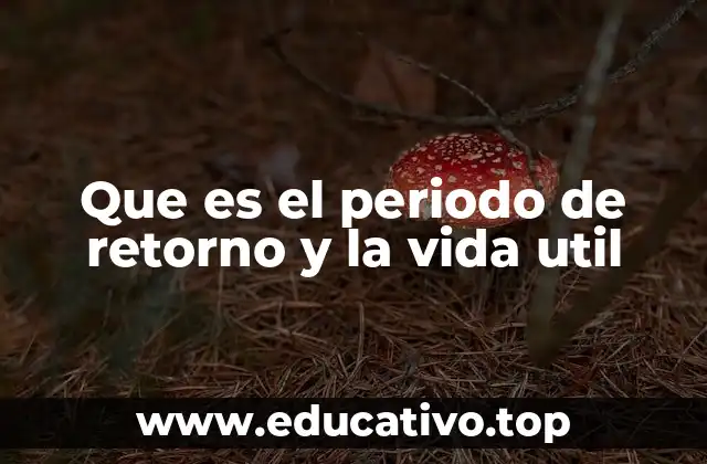 Que es el periodo de retorno y la vida util
