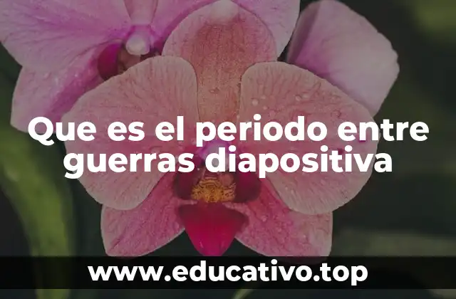 El periodo interguerra como una transición histórica