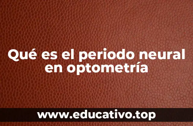 Qué es el periodo neural en optometría