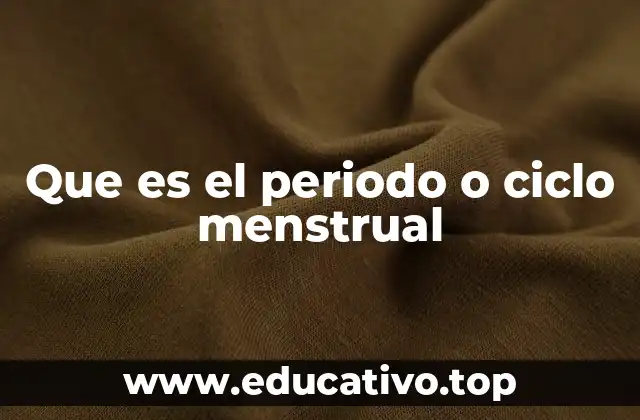 Que es el periodo o ciclo menstrual