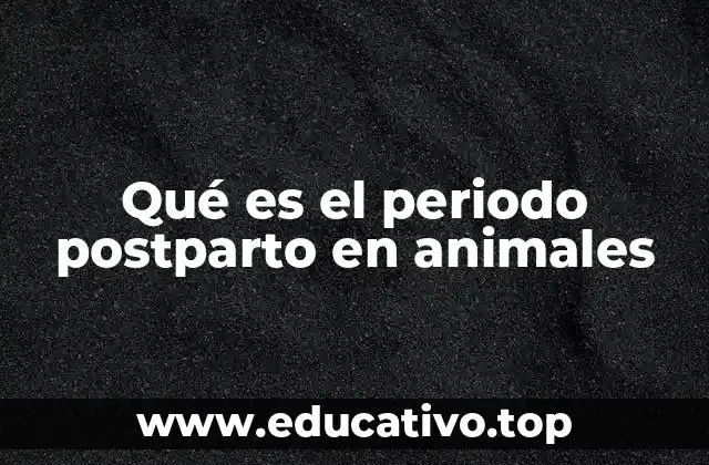La importancia del cuidado maternal durante el postparto