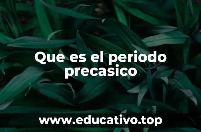 Que es el periodo precasico