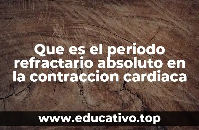 Que es el periodo refractario absoluto en la contraccion cardiaca